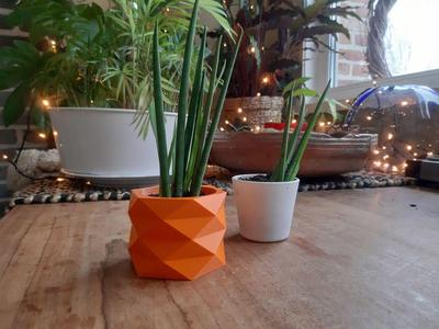 Geometric Flowerpot_2