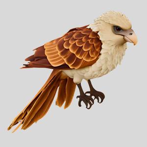 Regal Bird of Prey
