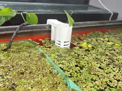Aquarium Plant Holder (fits standard aquariums)