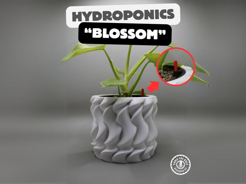 "Blossom" Hydroponics 