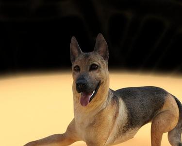 The German Shepherd pet Lovers Free STL