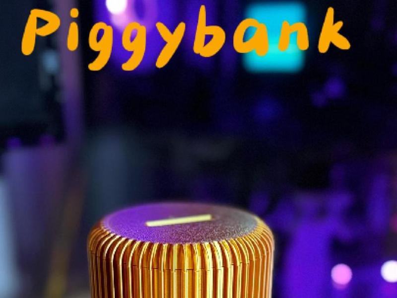 Piggybank Spardose