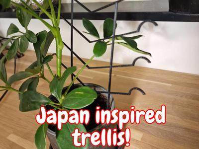 Japan inspired trellis