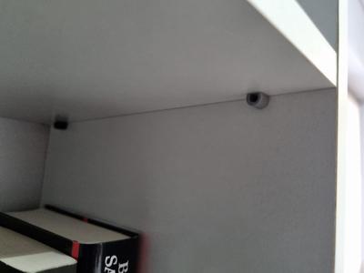 shelf support pin