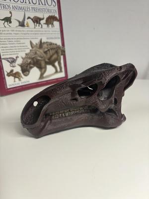 Iguanodon - Dinosaur Skull