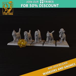 Warriors and Gnomes Gnome Good Boys