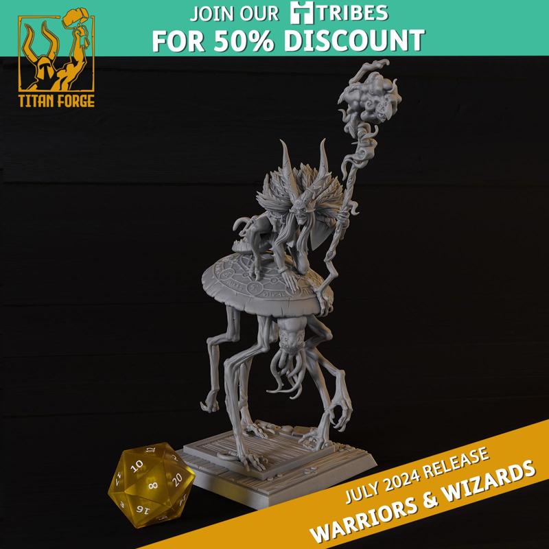 Warriors and Wizards Warriors Wild Sorcerer