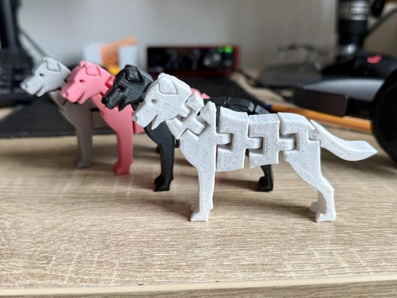 Flexi Dog - Bdog Samík   