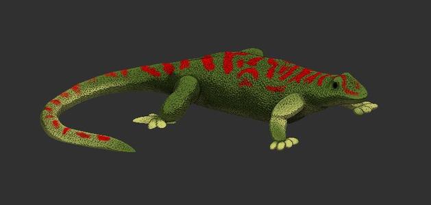Lizard