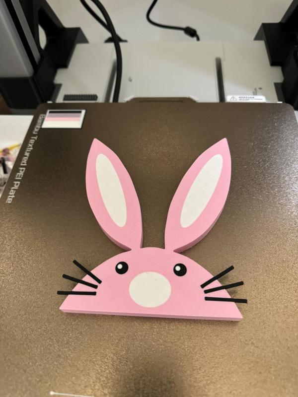 Bunny Door Topper