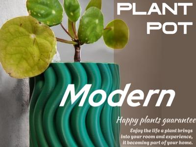 Plant Pot Planter - growth #1