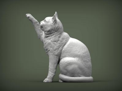 Cat for 3d printing