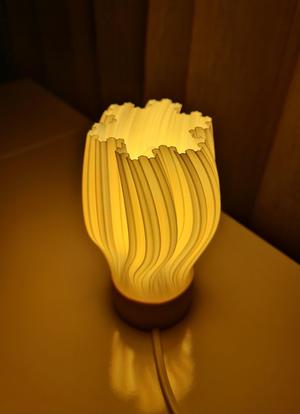 Desk lamp Twist-02