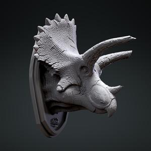 Triceratops hunting trophy