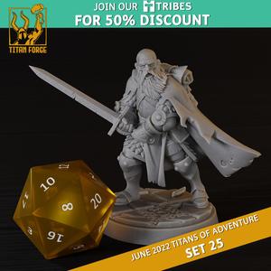 Human Male Paladin - RPG Hero Character D&D 5e - Titans of Adventure Set 25