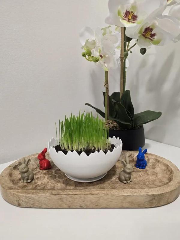 Cracked egg - easter planter   