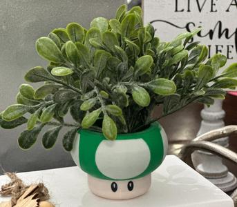 Mario Inspired Toad Mushroom Succulent