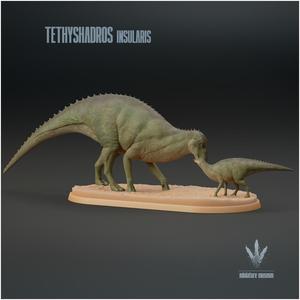 Tethyshadros insularis : Family