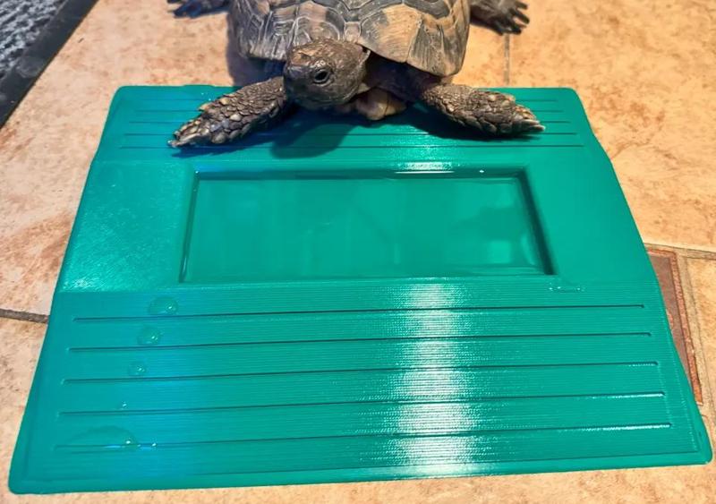 Pítko pro suchozemskou želvu   