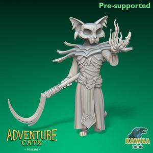 Hissani Warlock Cat - Male