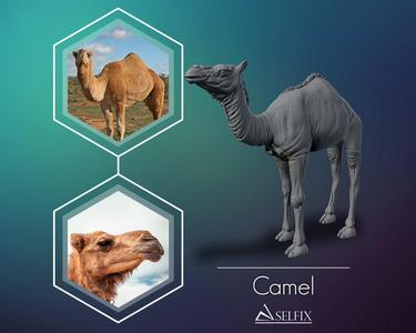 Camel 3D model ready to print