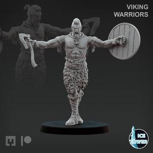 Viking - Warrior 1