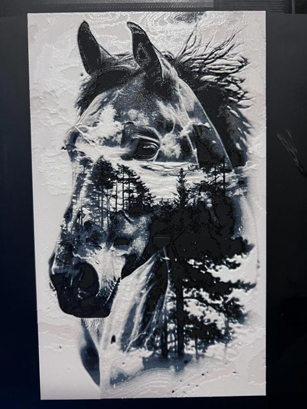 Horse Double Exposure hueforge