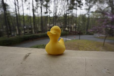 Jerry but he's wearing a beanie