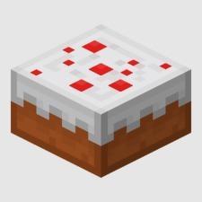 1/16 minecraft cake