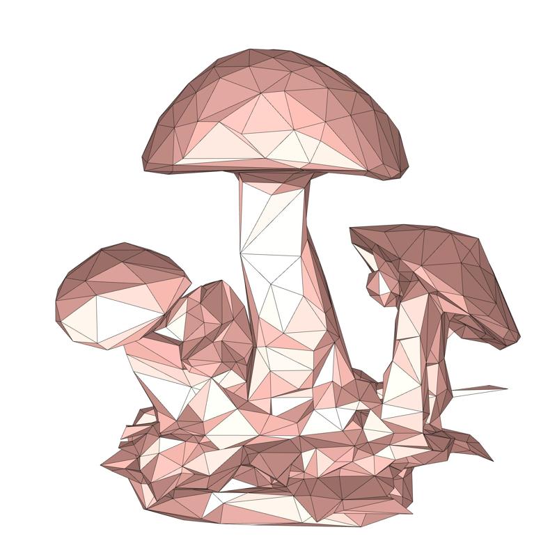 Mushrooms low poly