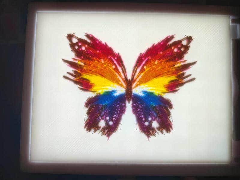 Colored Butterfly Relief Photo