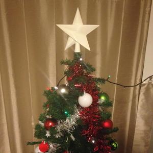 Elegant Star Christmas topper