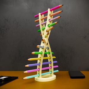 DNA Spiral Pencil Holder