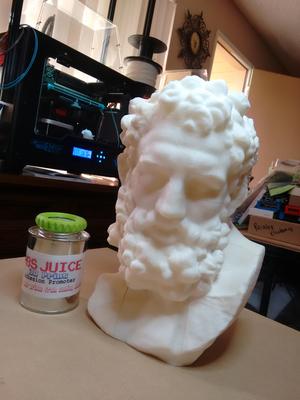 Marble Head of Herakles Bust (Near Life-Size))