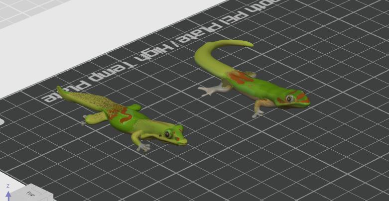 2 GECKOS GOLD DUST DAY