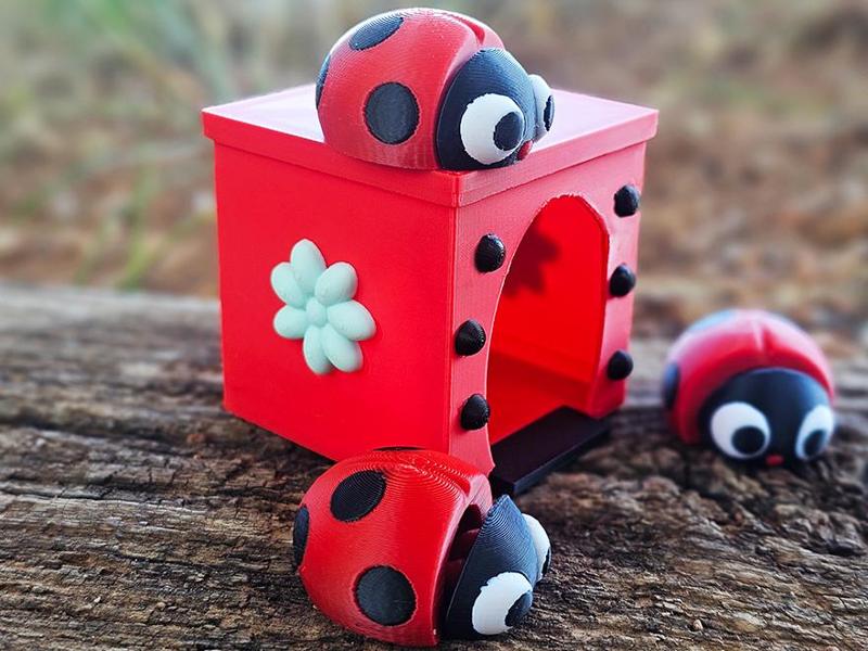 Cute Flexi Ladybug and House