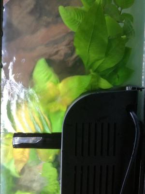 BioBox2 Flow Output Tube