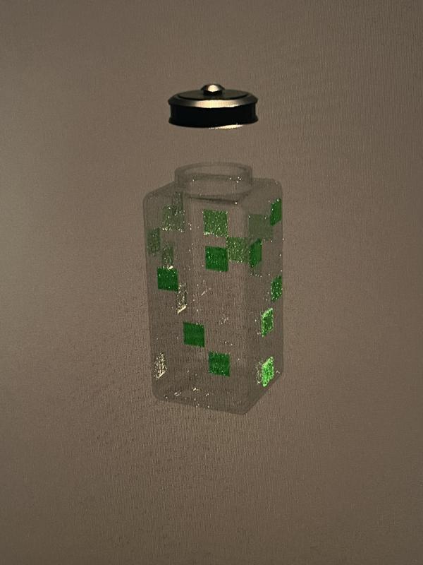minecraft bottle
