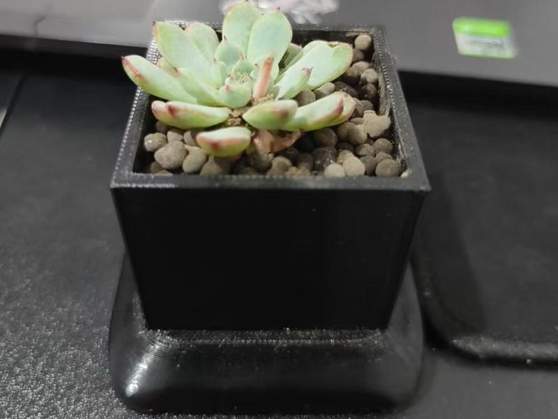 Succulent Mini Pot Wife Exclusive Love Style