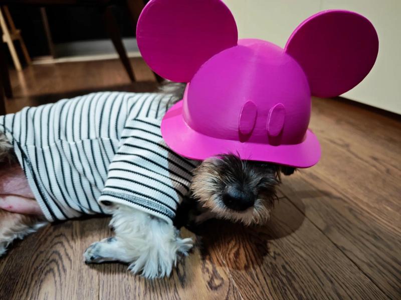 Disney Mickey Mouse Hat