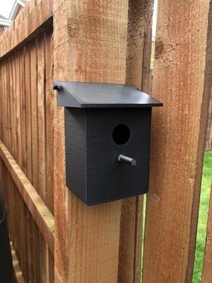 Raspberry Pi Bird Box