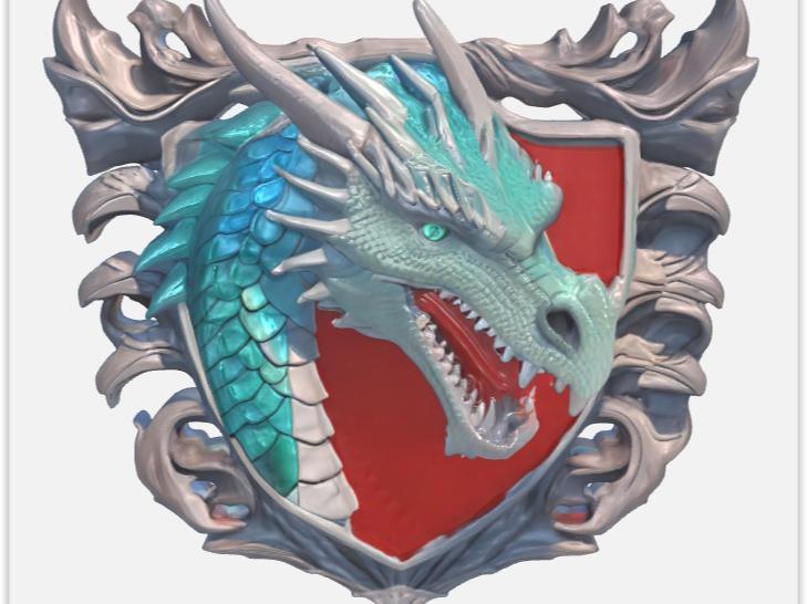 Dragon Shield wall art