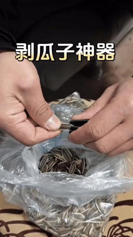 A marvel of a sunflower seed cracker for the Lunar New Year