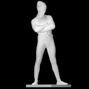 Harlequin at The Musée des Beaux-Arts, Lyon