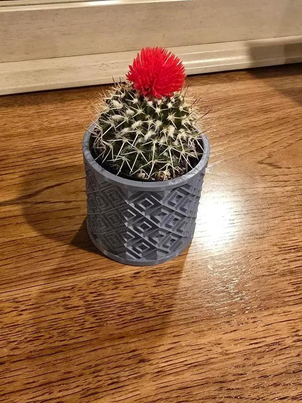 Small Plant Pot   