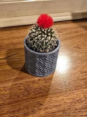 Small Plant Pot   
