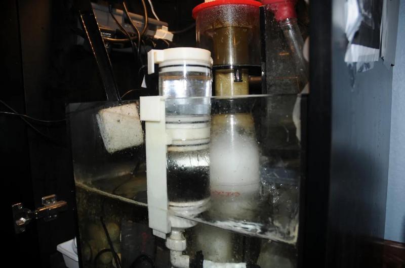 Reef Fluidized Reactor   