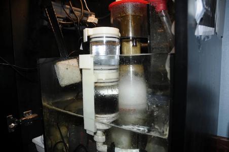 Reef Fluidized Reactor   