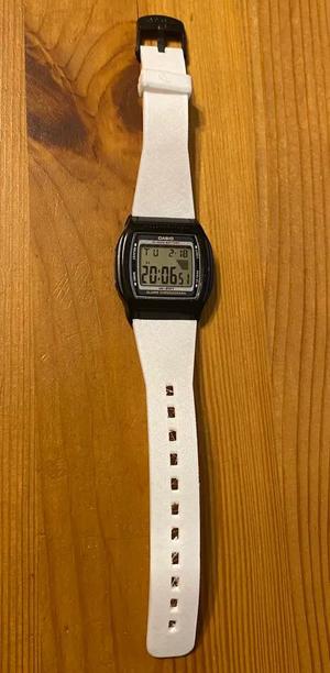 Casio Watchband   