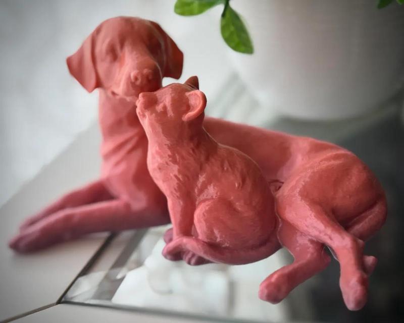 Dog and Cat Embracing   